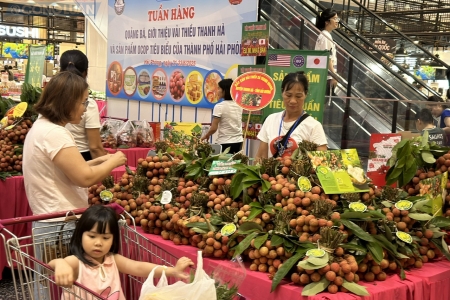 Tuần hàng quảng bá, giới thiệu vải thiều Thanh Hà và sản phẩm OCOP tiêu biểu