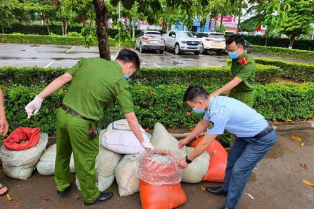Sơn La: Phát hiện xe khách chở 883kg nội tạng động vật "hôi thối" đi tiêu thụ