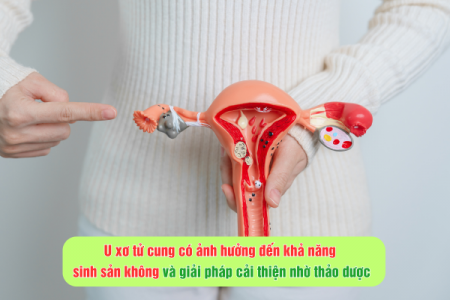 U xơ tử cung có ảnh hưởng đến khả năng sinh sản không?