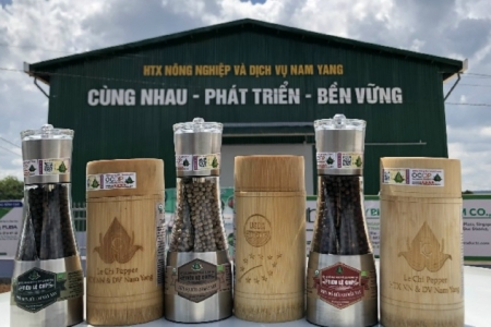 47 sản phẩm đạt danh hiệu “Sản phẩm OCOP cấp Quốc gia”