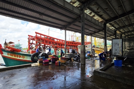 Cà Mau đảm bảo thực hiện đầy đủ quy định về chống khai thác IUU