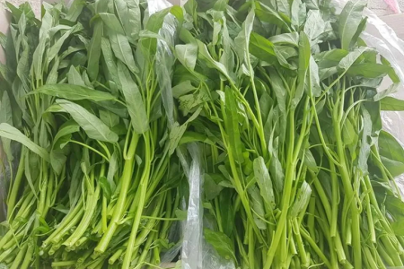 Loại rau dân dã trong bữa cơm người Việt nhưng lại giàu giá trị dinh dưỡng bất ngờ
