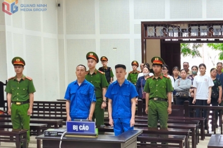 Xét xử vụ án "Đưa người Trung Quốc nhập cảnh trái phép vào Việt Nam"