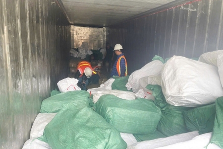 Khởi tố vụ án xuất khống 1.400 tấn chân gà đông lạnh dấu hiệu trốn thuế