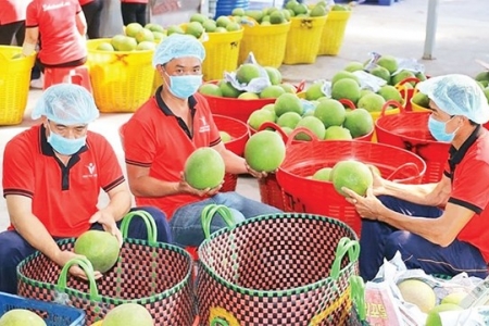 Ban hành kế hoạch đẩy mạnh xuất khẩu nông, lâm, thủy sản năm 2025