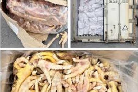 Vụ xuất khống 1.400 tấn chân gà đông lạnh: Hải quan khởi tố điều tra hành vi trốn thuế hơn 7 tỷ đồng