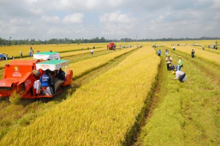 Nghị quyết số 216/2025/QH15 của Quốc hội về việc kéo dài thời hạn miễn thuế sử dụng đất nông nghiệp đến hết ngày 31/12/2030