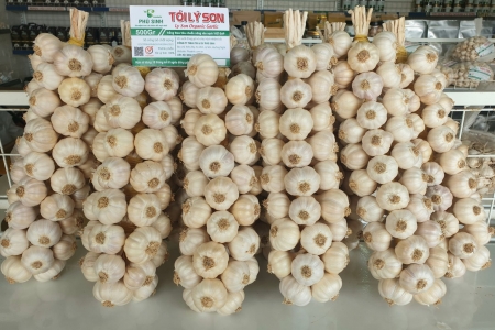 Tỉnh Quảng Ngãi có 2 sản phẩm OCOP đạt chuẩn 5 sao cấp quốc gia