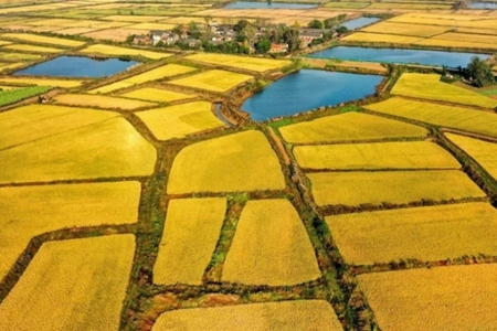 Chuyên gia trao đổi về điều chỉnh giá đất nông nghiệp