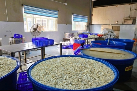 Thanh Hóa tạm giữ hơn 13 tấn chân gà ngâm hóa chất, chuẩn bị tuồn ra thị trường