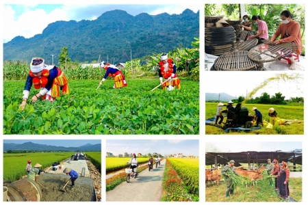 Đẩy mạnh giải ngân các chương trình mục tiêu quốc gia