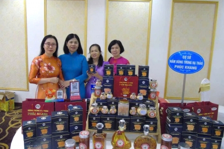 Tăng cường kiểm tra, giám sát, nâng cao chất lượng sản phẩm OCOP