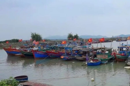 Vi phạm trong lĩnh vực thủy sản hai thuyền trưởng tàu cá bị phạt 125 triệu đồng