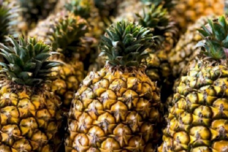 Dứa Việt Nam: Tiềm năng xuất khẩu rộng mở, EU là thị trường dẫn đầu