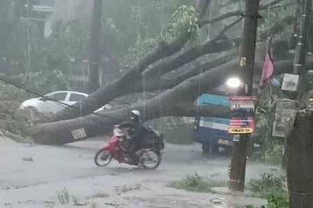 Hà Nội sẵn sàng ứng phó với bão số 3