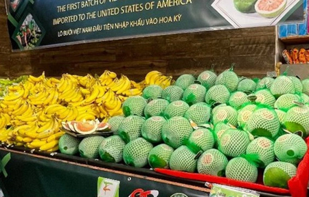 Doanh nghiệp xuất khẩu của Việt Nam cần làm gì để chinh phục thị trường Hoa Kỳ?