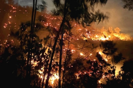 Đà Nẵng: Đám cháy bùng phát dữ dội, thiêu rụi hơn 10ha rừng keo trong đêm tại Duy Xuyên