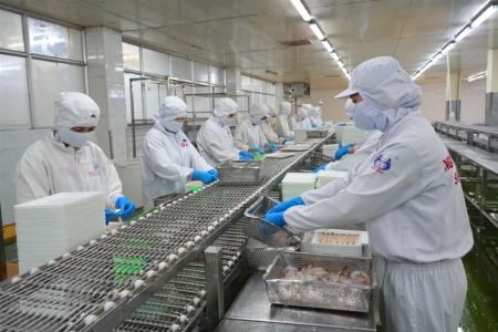 Tập trung đưa kinh tế tư nhân trở thành một động lực quan trọng nhất của nền kinh tế tỉnh Cà Mau