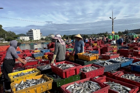 Nghệ An khẩn trương kêu gọi 785 tàu cá vào bờ tránh bão số 3