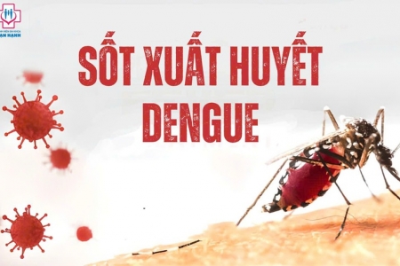 Sốt xuất huyết diễn biến phức tạp, chủng virus DEN-2 chiếm ưu thế