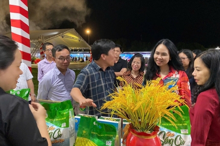 Thương mại điện tử xuyên biên giới: Đòn bẩy xuất khẩu bền vững