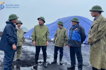 Tập đoàn Công nghiệp Than – Khoáng sản Việt Nam tổ chức 3 đoàn kiểm tra công tác phòng, chống và ứng phó với bão số Wipha