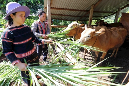 Nâng cao hiệu quả tín dụng chính sách xã hội
