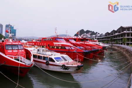 76 điểm tránh trú bão cho tàu thuyền trên địa bàn tỉnh Quảng Ninh