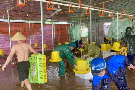 Thanh Hóa ban hành Công điện khẩn về việc khẩn trương triển khai công tác tiêu úng, chống ngập lụt