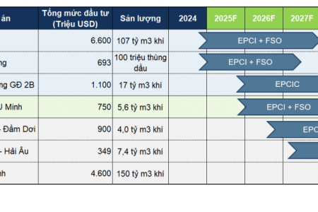Một số cổ phiếu cần quan tâm ngày 22/7: DPM, DCM, PVS