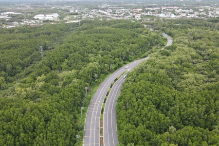 TP. Hồ Chí Minh đôn đốc nhà đầu tư hoàn thiện hồ sơ dự án metro kết nối với Cần Giờ