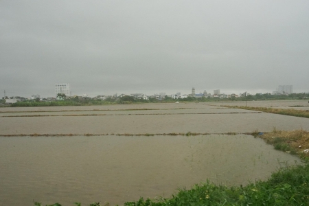 Hơn 26.000 ha lúa ở Hưng Yên bị ngập úng do ảnh hưởng bão số 3