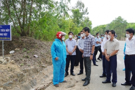 Quảng Trị tăng cường kiểm soát, dập dịch tả lợn Châu Phi tại các địa phương có nguy cơ cao