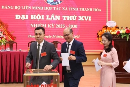 Đại hội Đảng bộ Liên minh HTX tỉnh Thanh Hóa lần thứ XVI, nhiệm kỳ 2025 - 2030