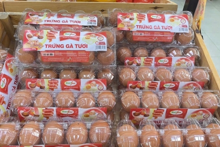 Trứng gà tươi Sagrifood – Từ trang trại tới bàn ăn