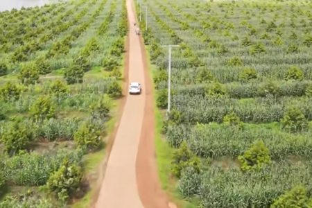 Hoàng Anh Gia Lai thay đổi hướng xử lý nợ, trình cổ đông kế hoạch phát hành cổ phiếu thay thế