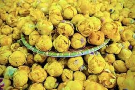 “Vàng xanh” của núi rừng: Chè hoa vàng Thái Nguyên trở thành nông sản OCOP chất lượng cao