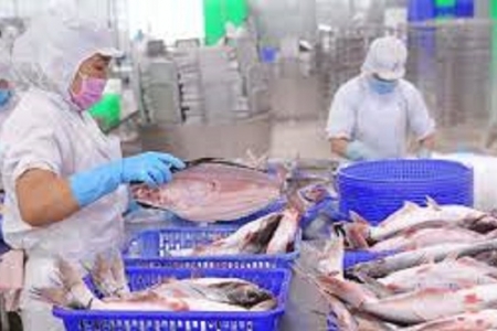 Xuất khẩu thủy sản nửa đầu năm 2025 tăng trưởng ấn tượng, VASEP đặt mục tiêu 10 tỷ USD cho cả năm