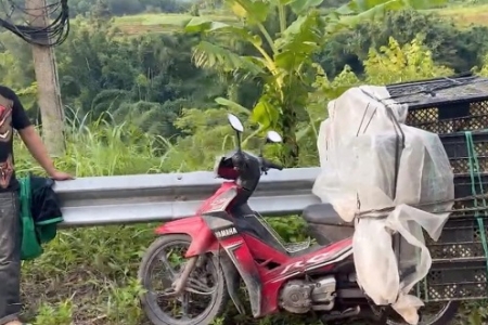 Quảng Ninh: Phát hiện, xử lý vụ vận chuyển 1.200 con vịt giống không rõ nguồn gốc tại biên giới