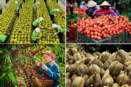 Thương hiệu Việt Nam: Niềm tự hào & khát vọng vươn xa