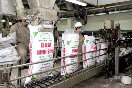 Đạm Ninh Bình: Sản phẩm chất lượng cao, vững vàng chinh phục thị trường