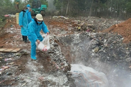 Thanh Hóa thành lập 39 chốt kiểm soát dịch bệnh tả lợn Châu Phi