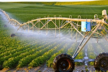 Đòn bẩy đổi mới của nông nghiệp hiện đại: Trao quyền khảo nghiệm để doanh nghiệp chủ động