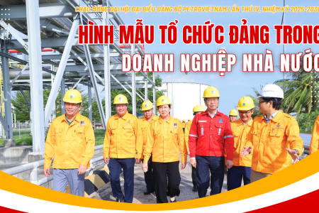 Hình mẫu tổ chức Đảng trong doanh nghiệp nhà nước