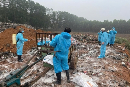 Thanh Hóa cấp bách triển khai công tác phòng, chống dịch tả lợn châu Phi trên toàn địa bàn