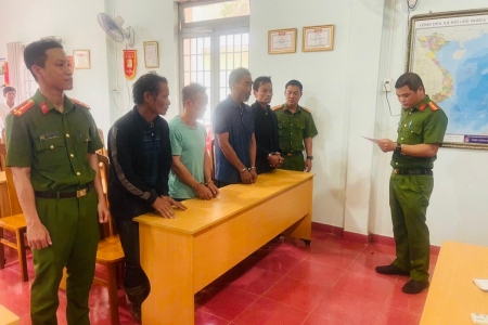 Công an Lâm Đồng triệt phá vụ khai thác gỗ thông trái phép quy mô lớn