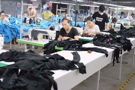 Thanh Hóa có 2.069 doanh nghiệp thành lập mới