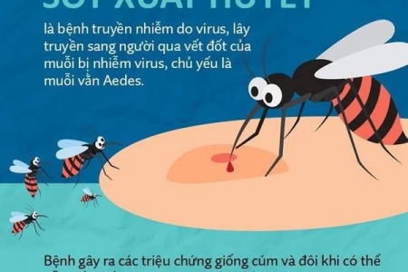 Chung tay phòng chống dịch sốt xuất huyết