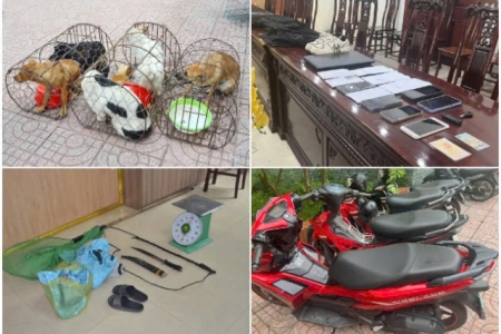 Nghệ An: Triệt phá ổ nhóm trộm chó có vũ khí, tiêu thụ hơn 2 tấn tang vật