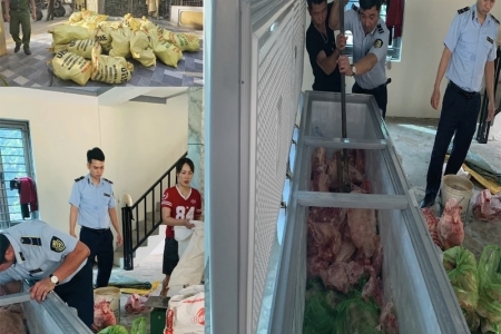 Thanh Hoá: Phát hiện hơn 1.600kg thịt mắc dịch tả lợn Châu Phi chuẩn bị bán ra thị trường